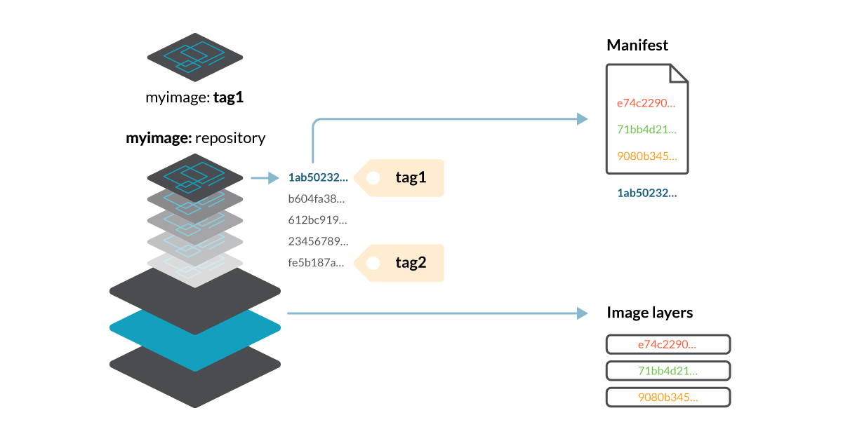 Diagram of an image inside a repository. Image is made by layers, stored in the repository. Manifest define what layers conform the image. Tags are associated to Manifests.