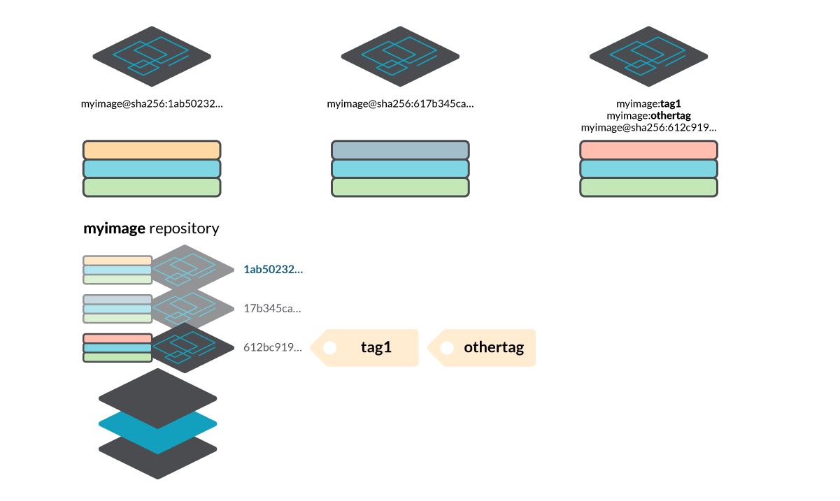 A diagram showcasting different images, with two tags pointing to the same manifest.